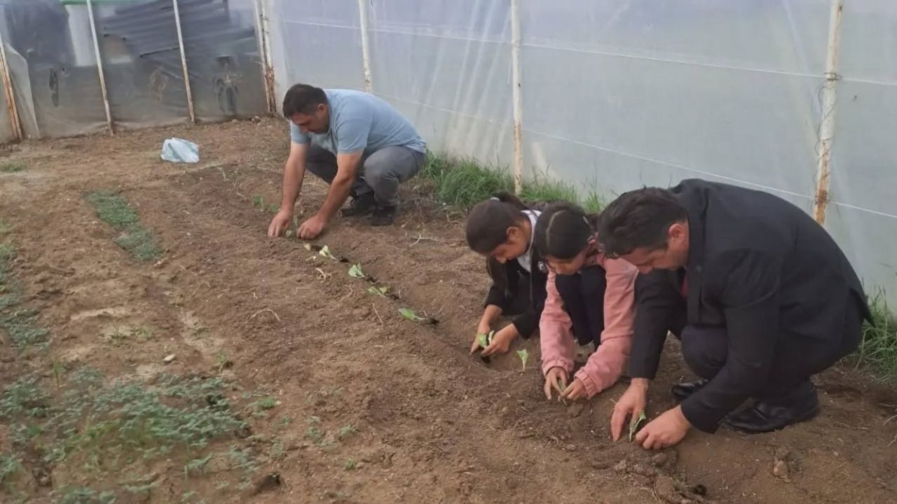 Haka Taşköprü (1)
