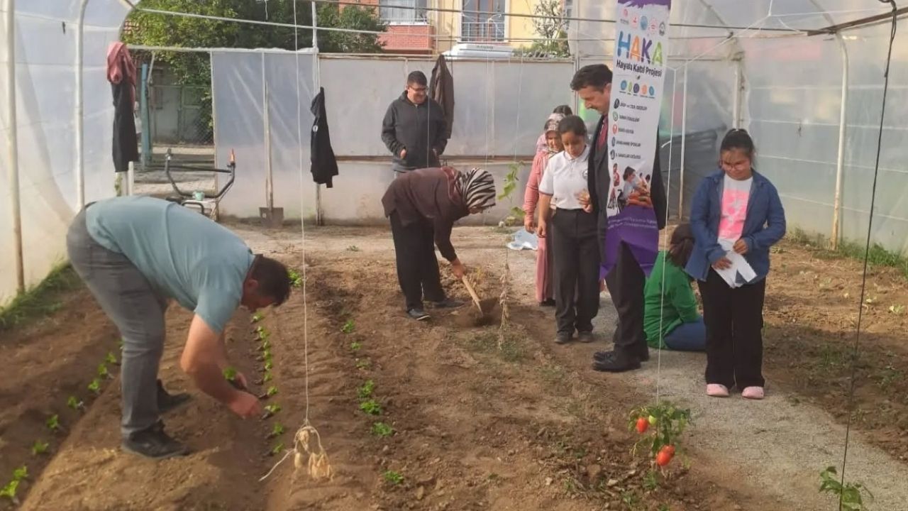 Haka Taşköprü (2)