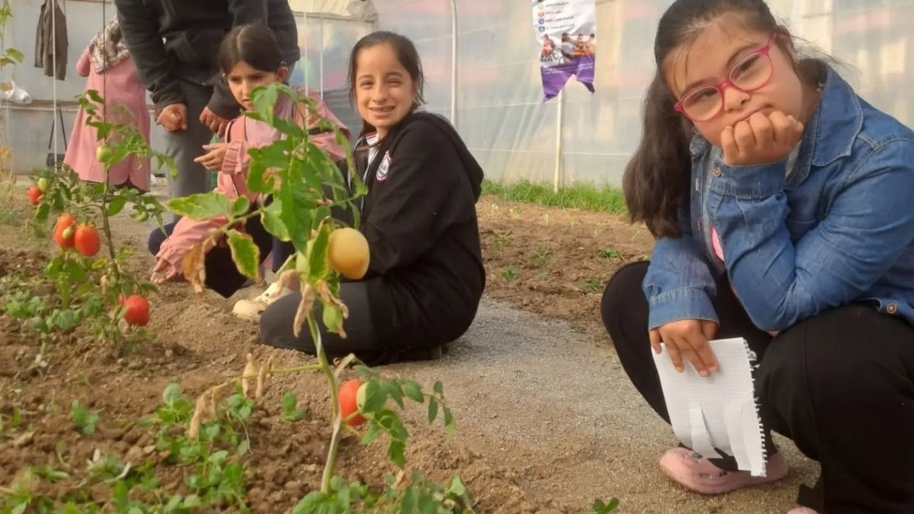 Haka Taşköprü (3)