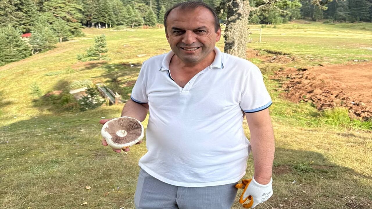 Hanönü Belediye Kanlıca Mantarı (1)-1
