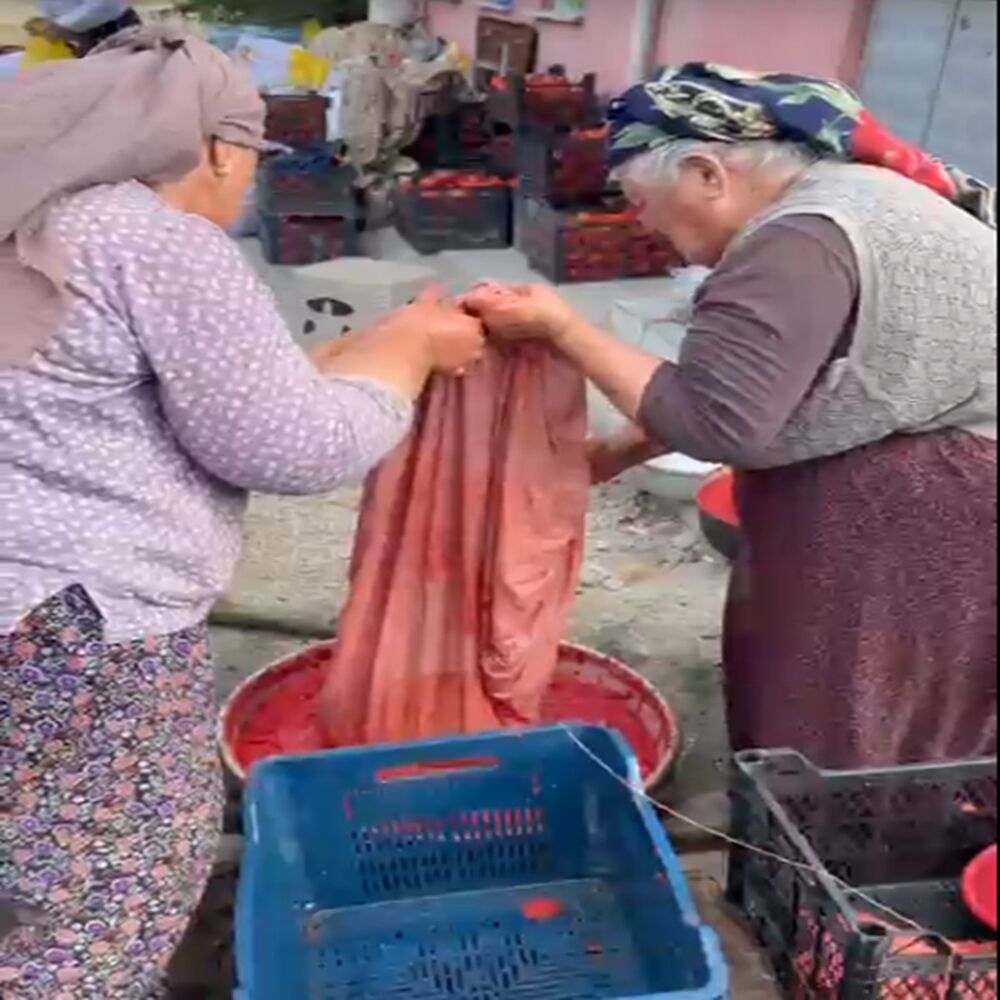 Hanönü Salçalık Mesai (2)