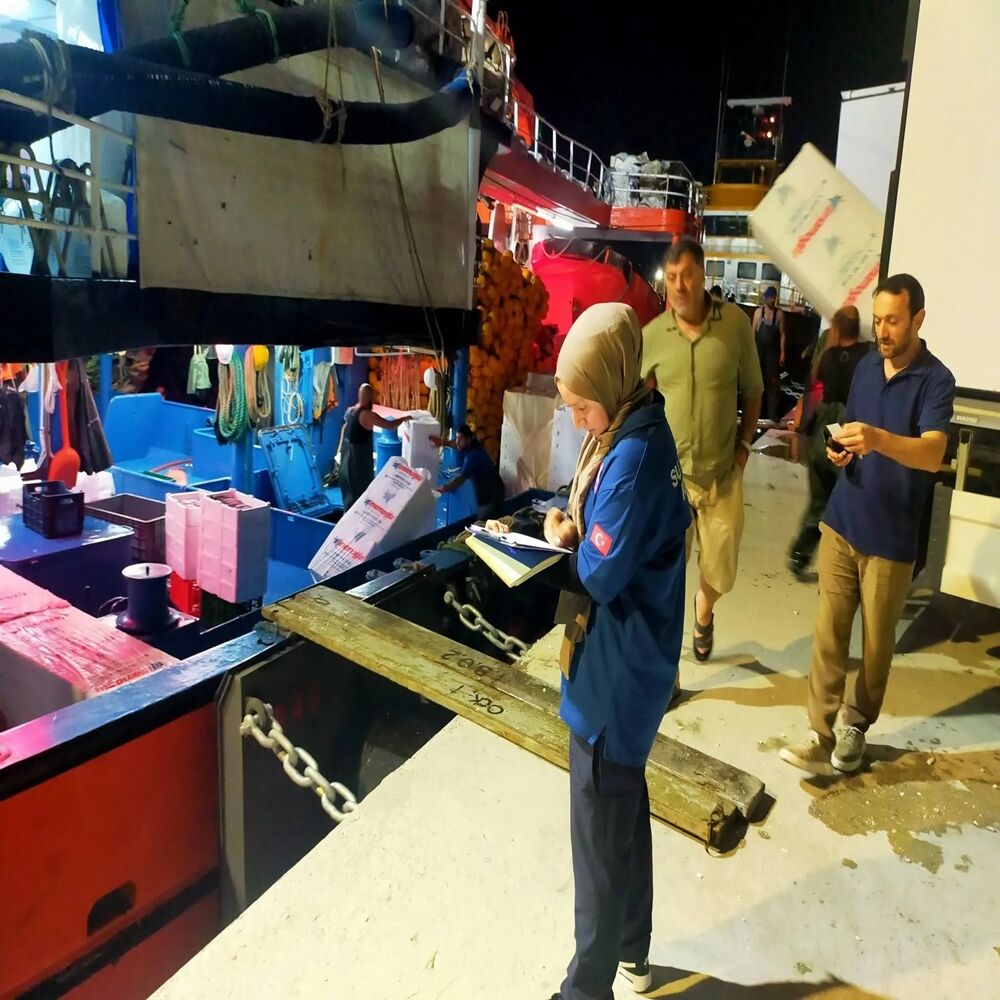 Inebolu Limanı Balık Hareketlilik 2