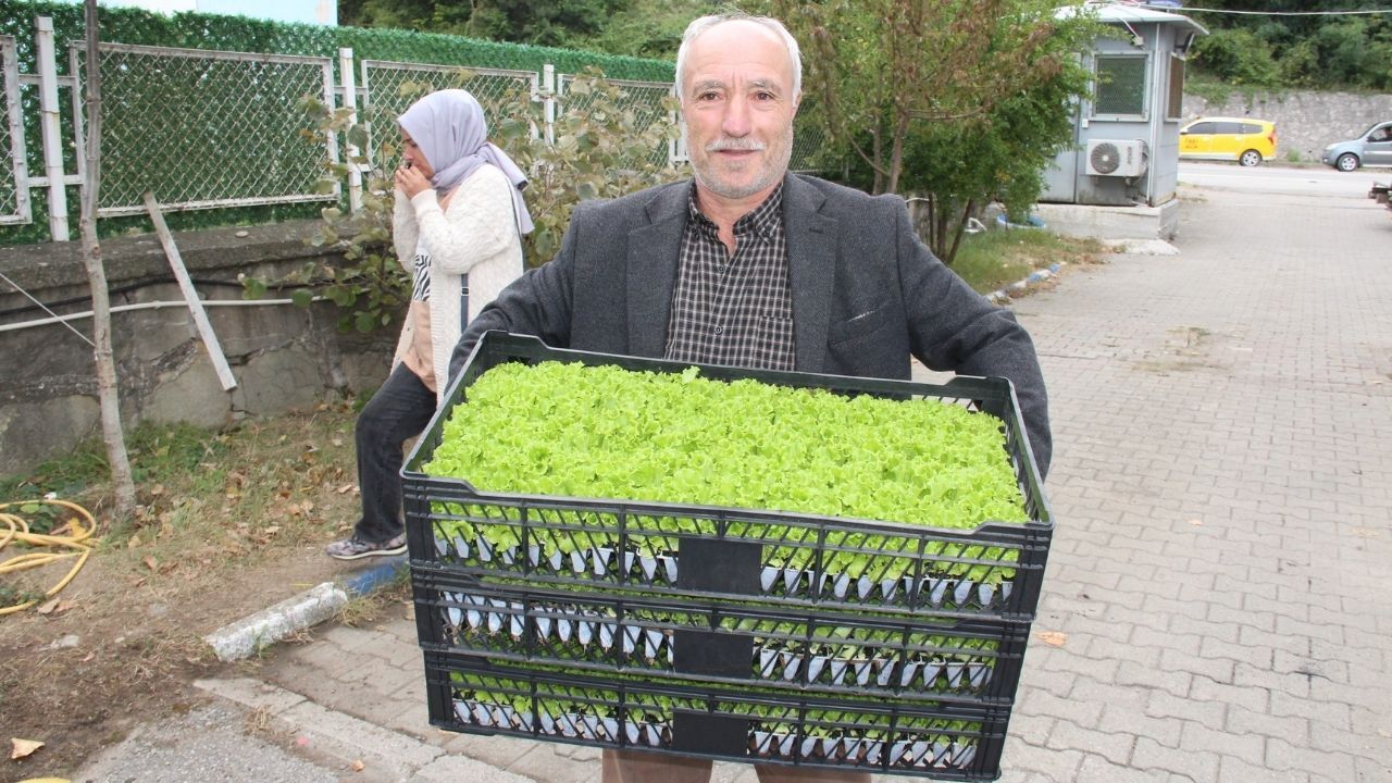 İnebolu’da Çiftçiye 88 Bin 400 Fide Desteği (3)