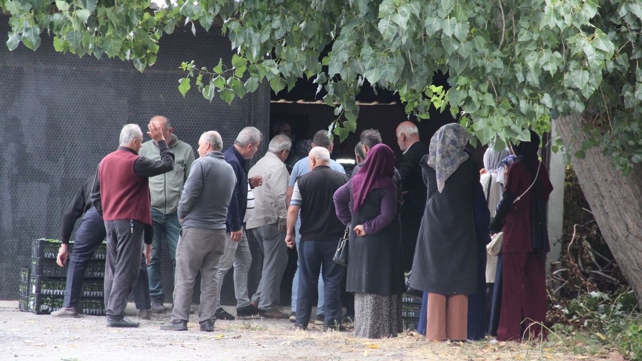 İnebolu’da Çiftçiye 88 Bin 400 Fide Desteği (4)