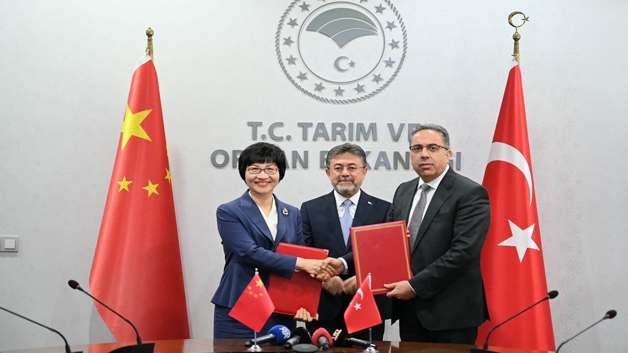 Kastamonu Bakandan Çin (2)
