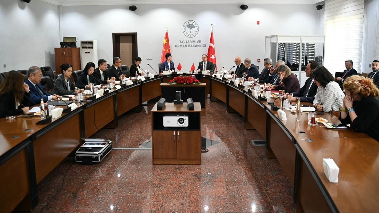 Kastamonu Bakandan Çin (3)