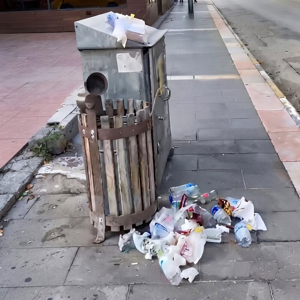 Kastamonu Çöp (1)