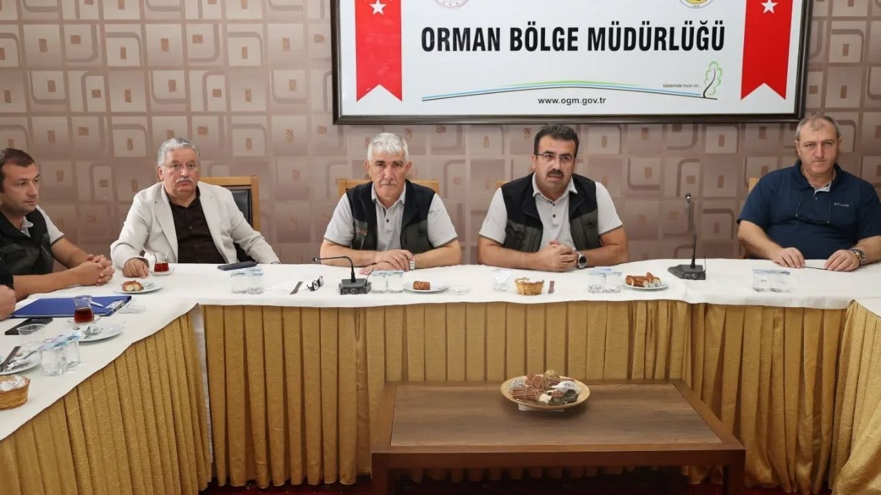 Kastamonu Ormanları Için 2027 Yol Haritası Hazırlandı (1)
