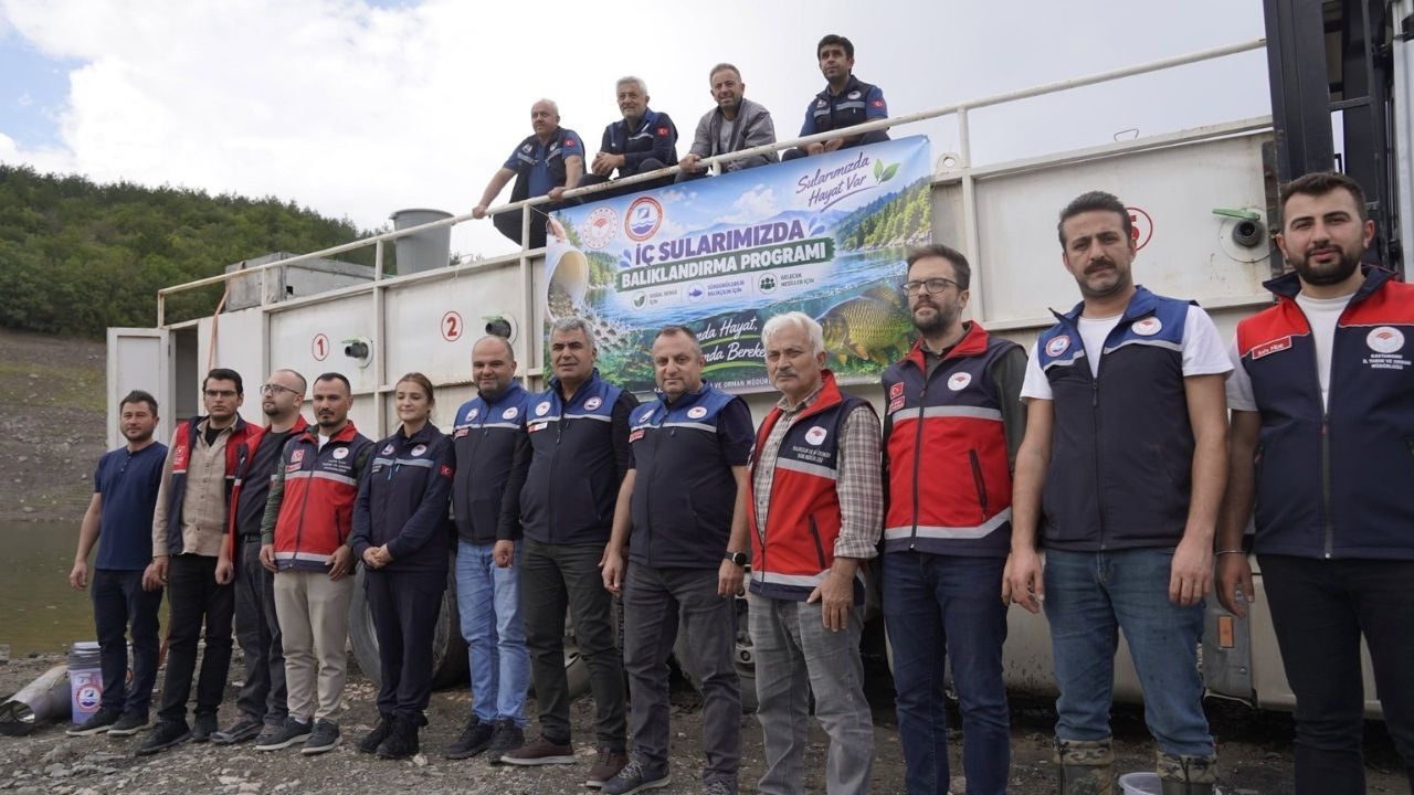 Kastamonu Sazan Yavrusu (1)