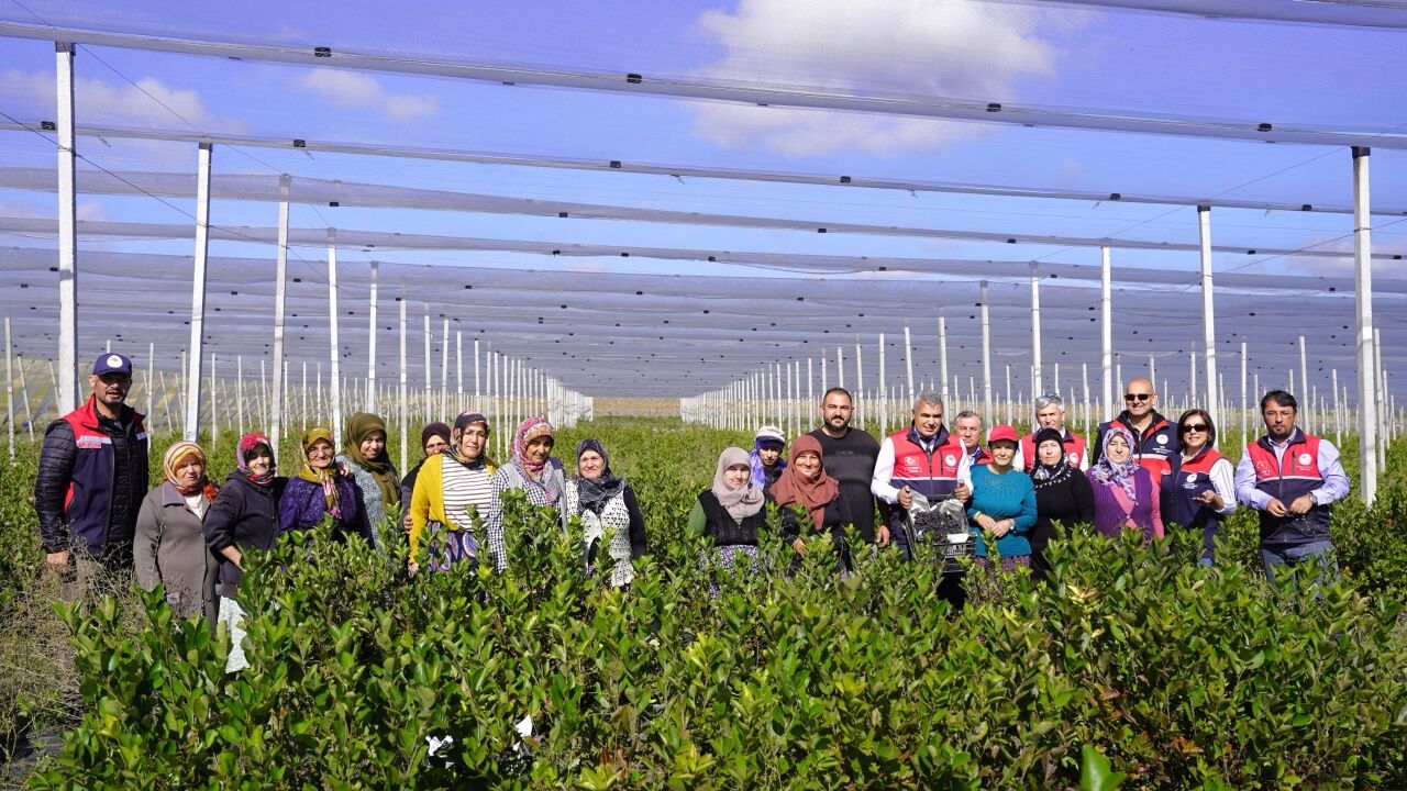 Kastamonu’da Aronya Üretiminde 5 Ton Hedefi 1