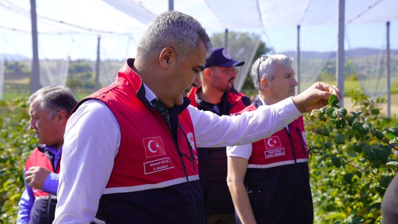 Kastamonu’da Aronya Üretiminde 5 Ton Hedefi 2