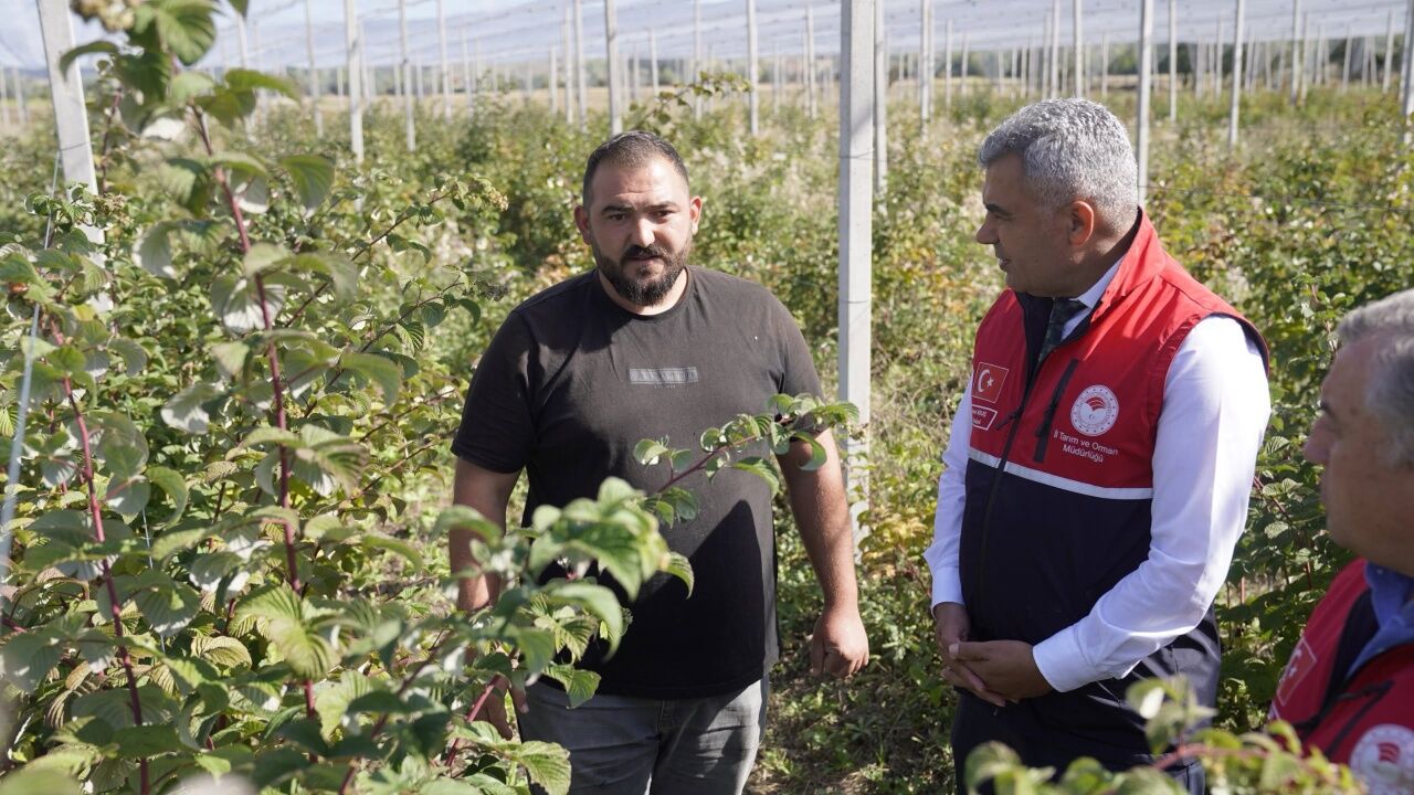 Kastamonu’da Aronya Üretiminde 5 Ton Hedefi
