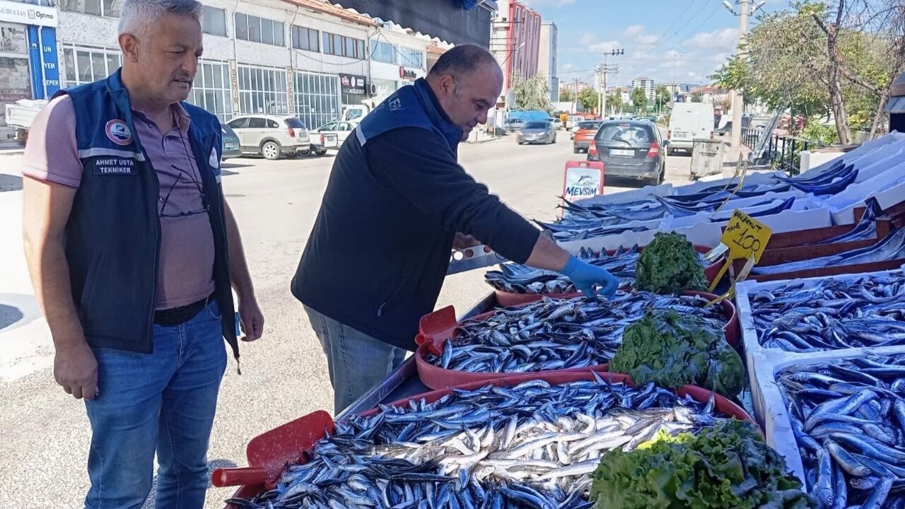 Kastamonu’da Balık Satış Noktaları Denetlendi 2