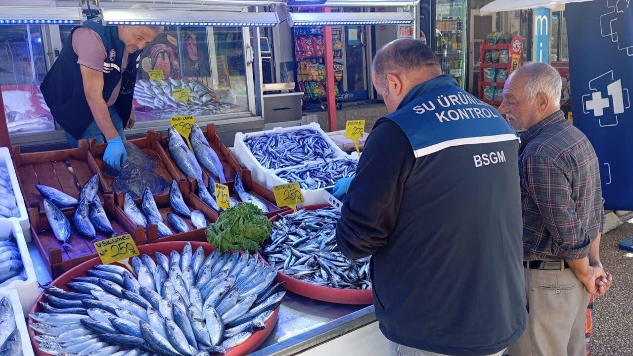 Kastamonu’da Balık Satış Noktaları Denetlendi