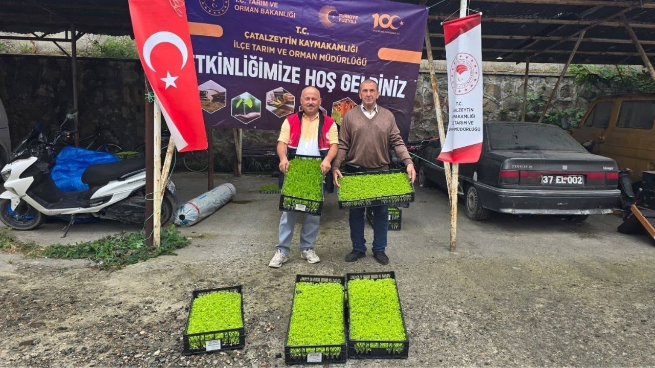 Kastamonu’da Çiftçiye Yüzde 75 Hibeli Destek (2)