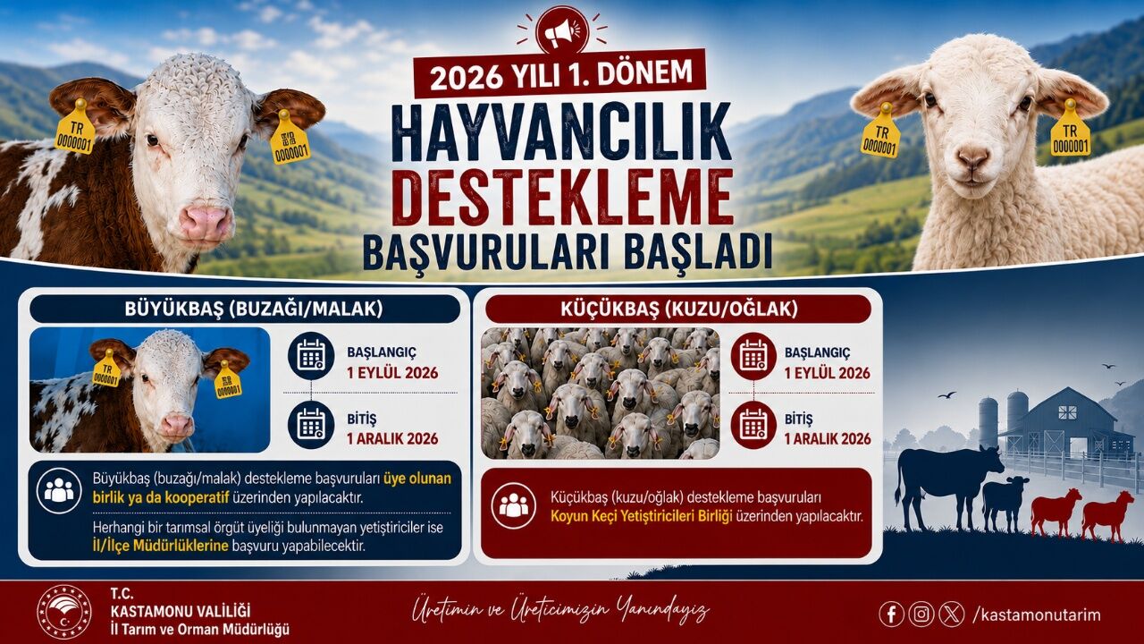 Kastamonu’da Hayvancılık Desteği Başvuruları Başladı