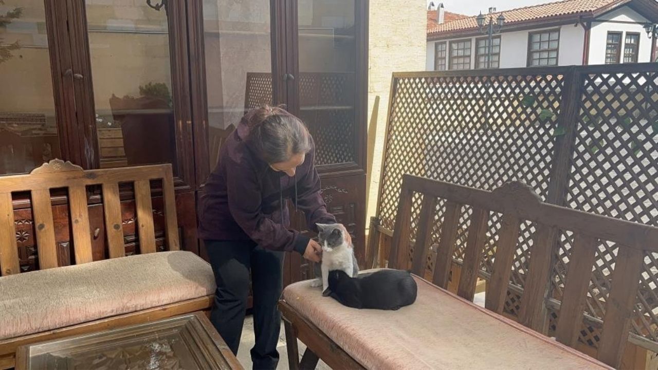 Kastamonu’da Ilginç Görüntü Kedinin Alışkanlığını Bir Türlü Değiştiremediler (3)