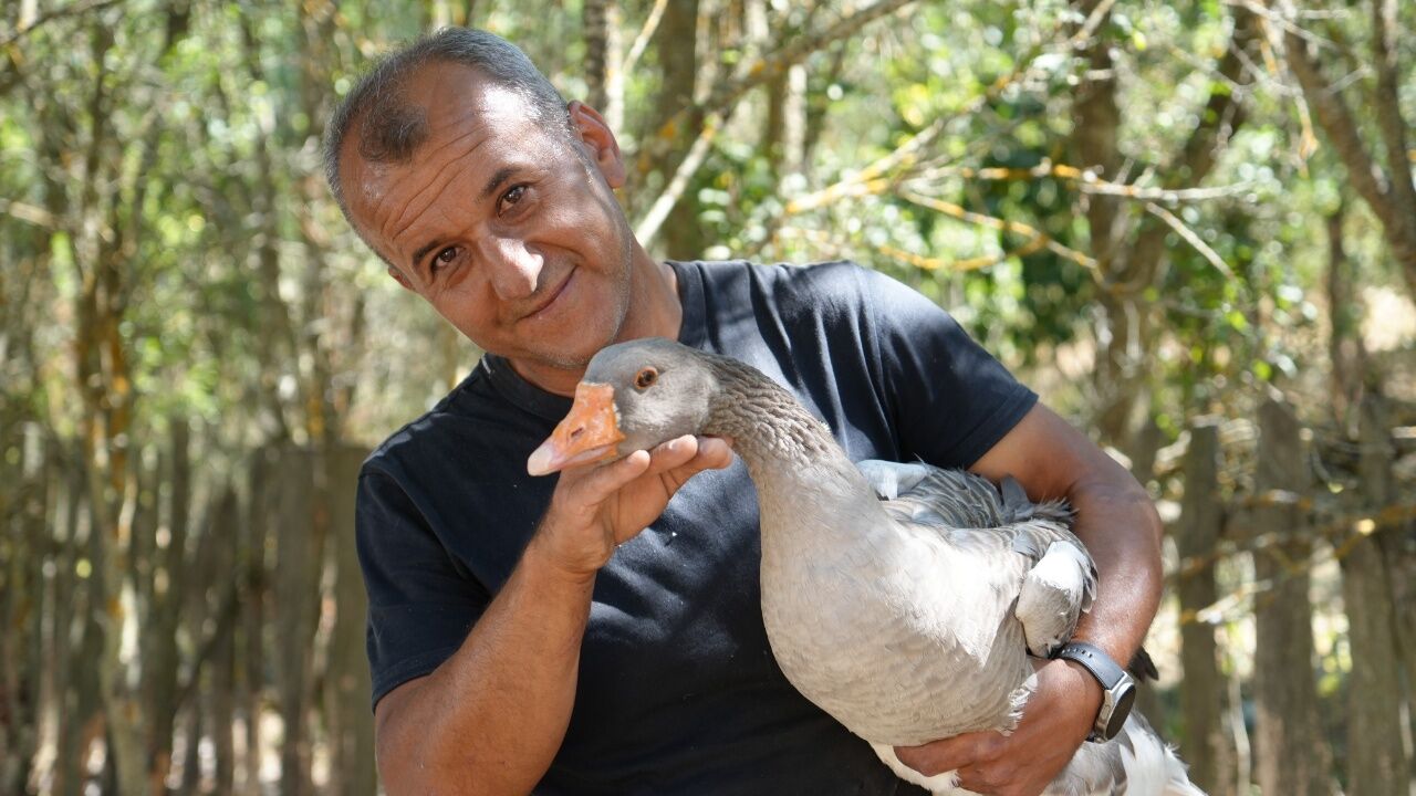 Kastamonu’da kaz çiftliği kurdu, siparişlere yetişemiyor