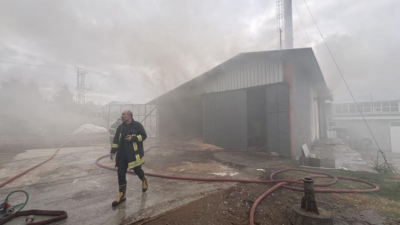 Kastamonu’da Süt Fabrikasında Alevler Yükseldi (2)