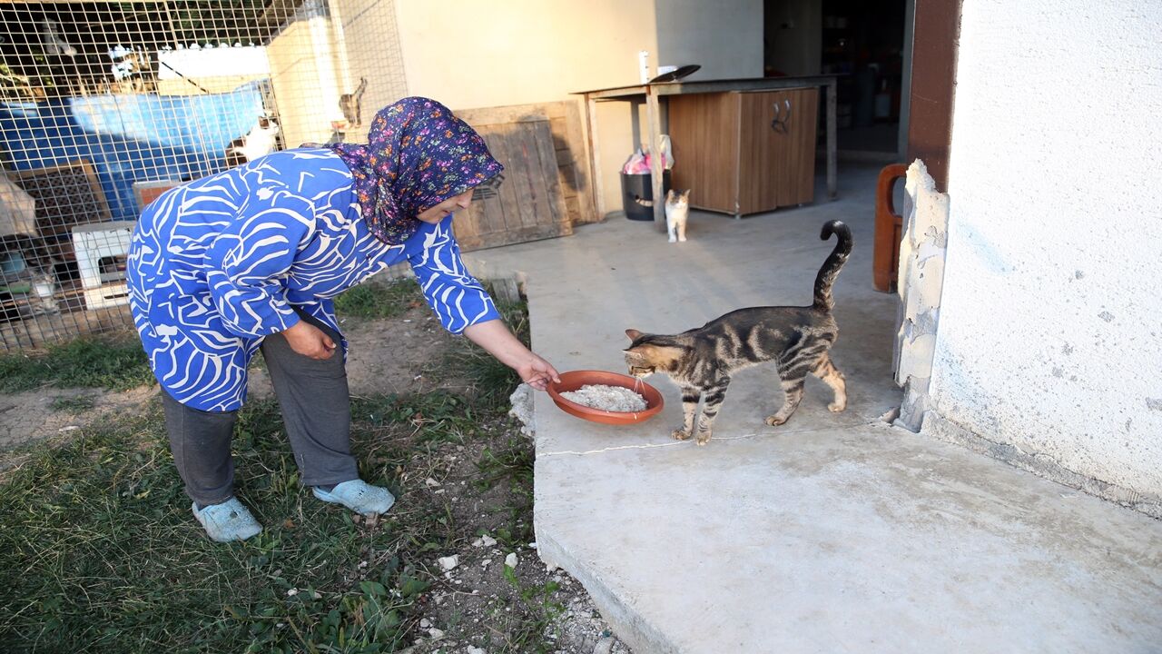 Kastamonu'da Yaşayan Emine Sağlıklı (2)