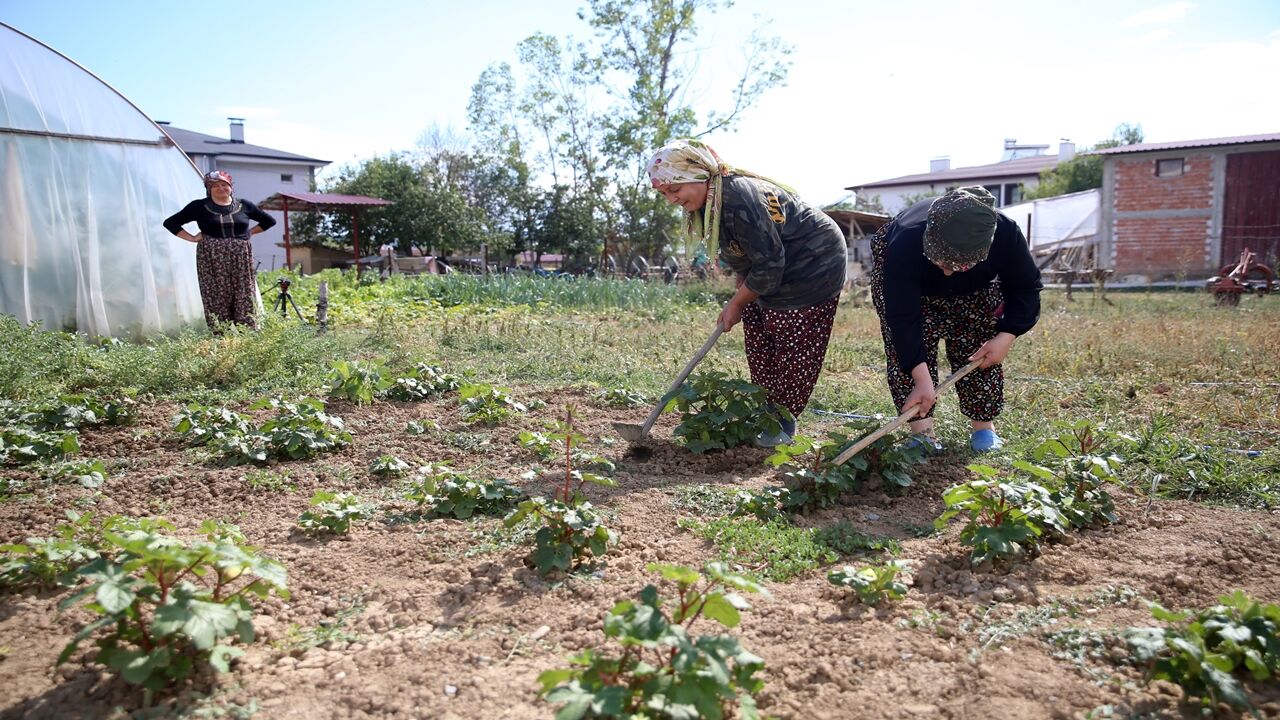 Kastamonu'da Yaşayan Emine Sağlıklı (6)