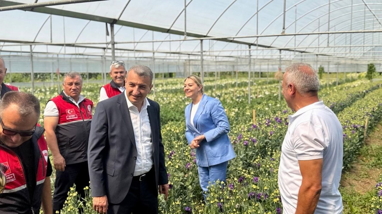 Kesme Çiçek Üretimi (5)