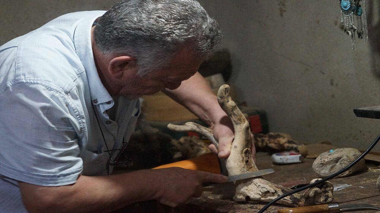 Kurumuş Ağaç Dalları Yeniden Hayat Buluyor (6)