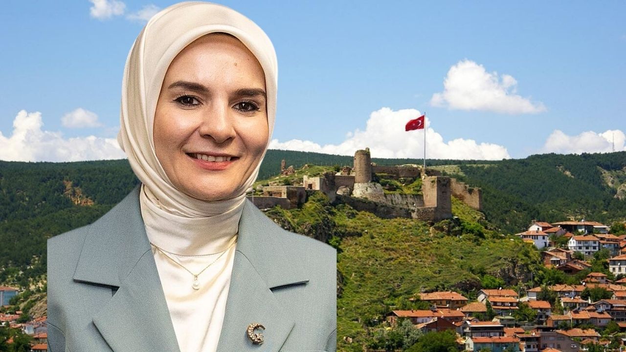 Mahinur Özdemir Göktaş