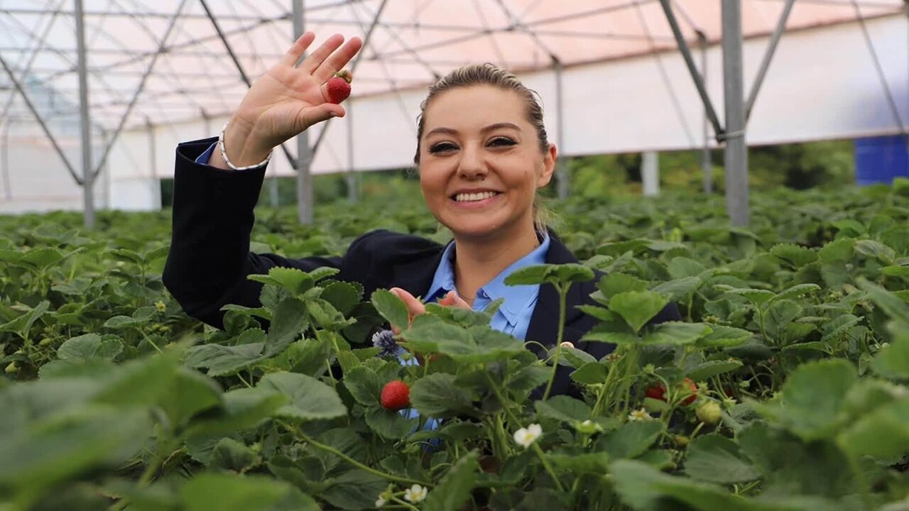 Milletvekeli Serap Çilek (2)