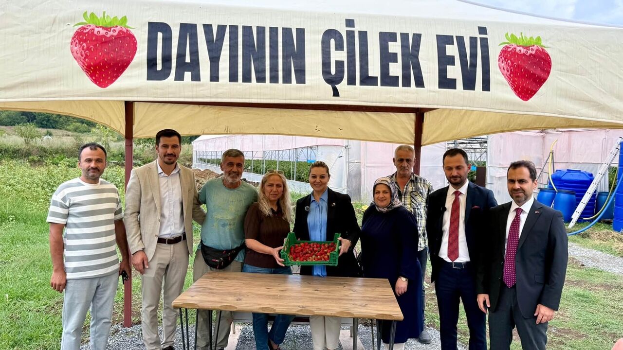 Milletvekeli Serap Çilek (5)