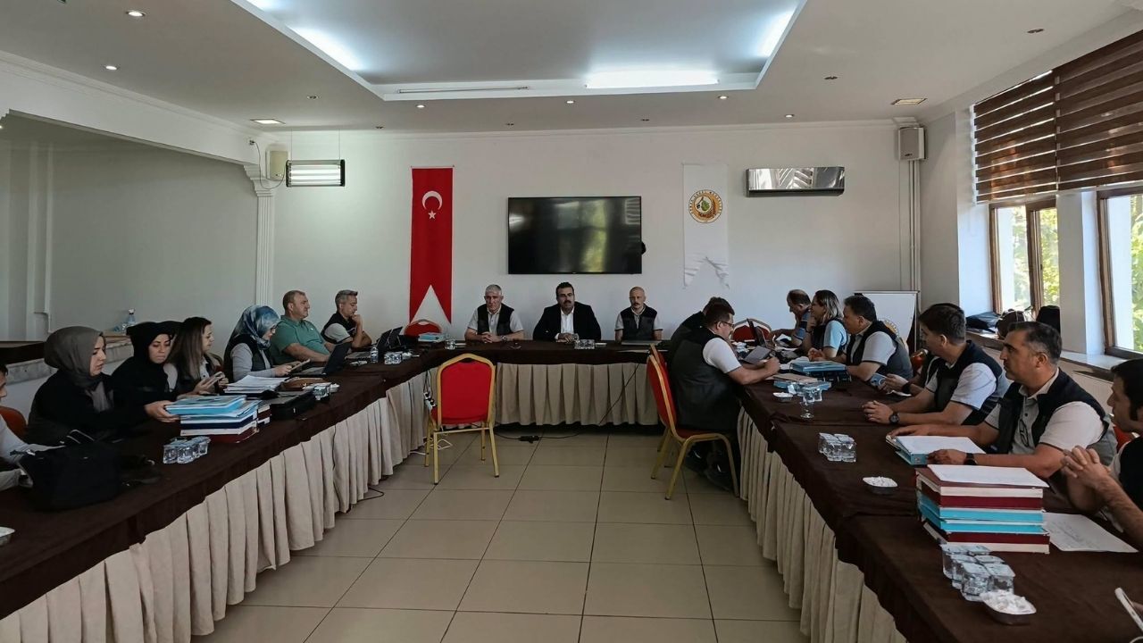 Orman Bölge Taşköprü (1)