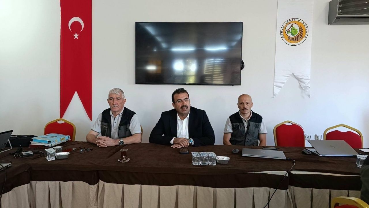 Orman Bölge Taşköprü (3)