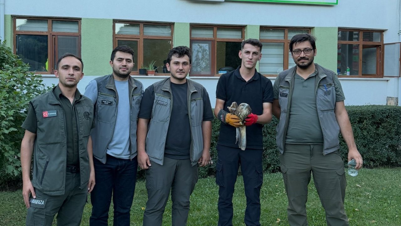 Pınarbaşı Atmaca (3)