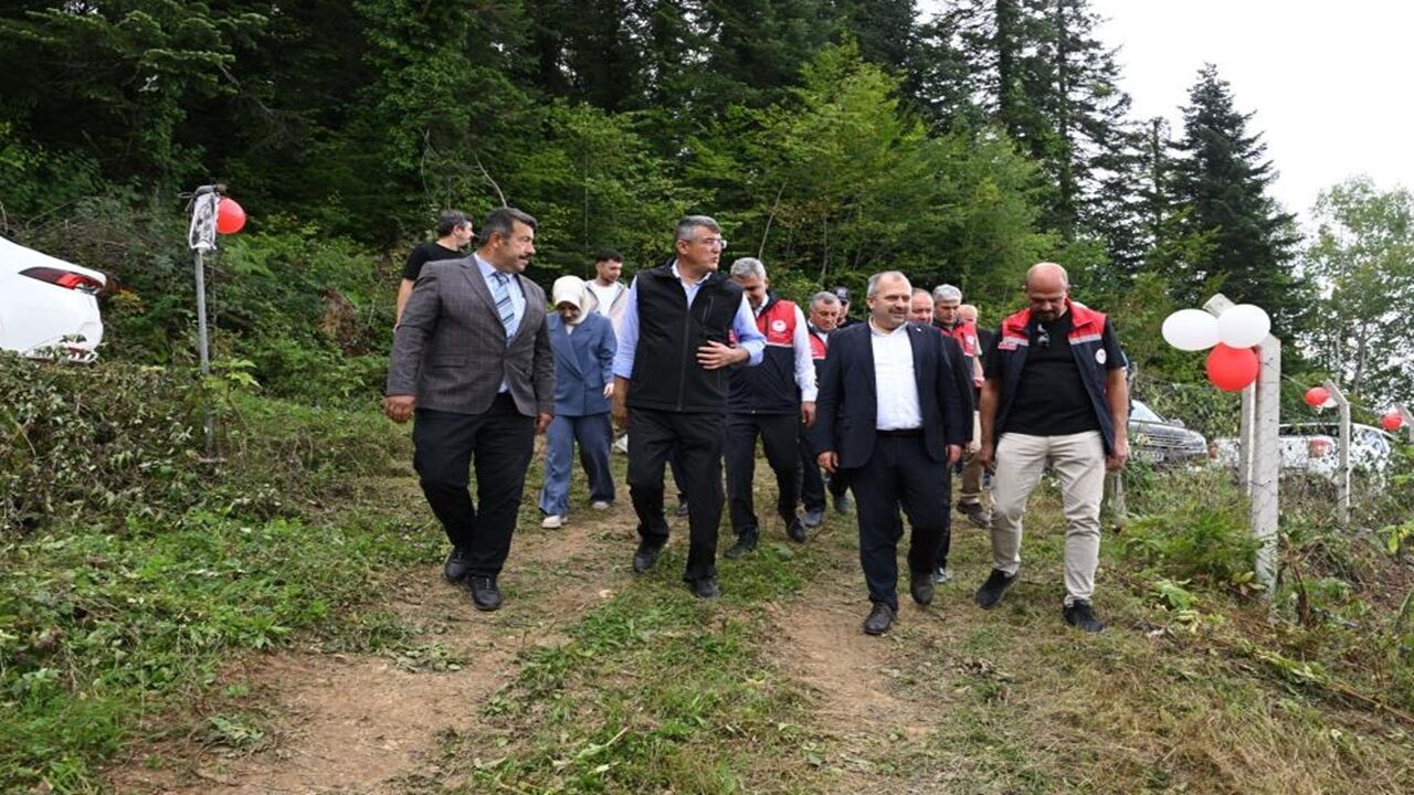 Şenpazar Aronya Toplama Geleneksel (1)