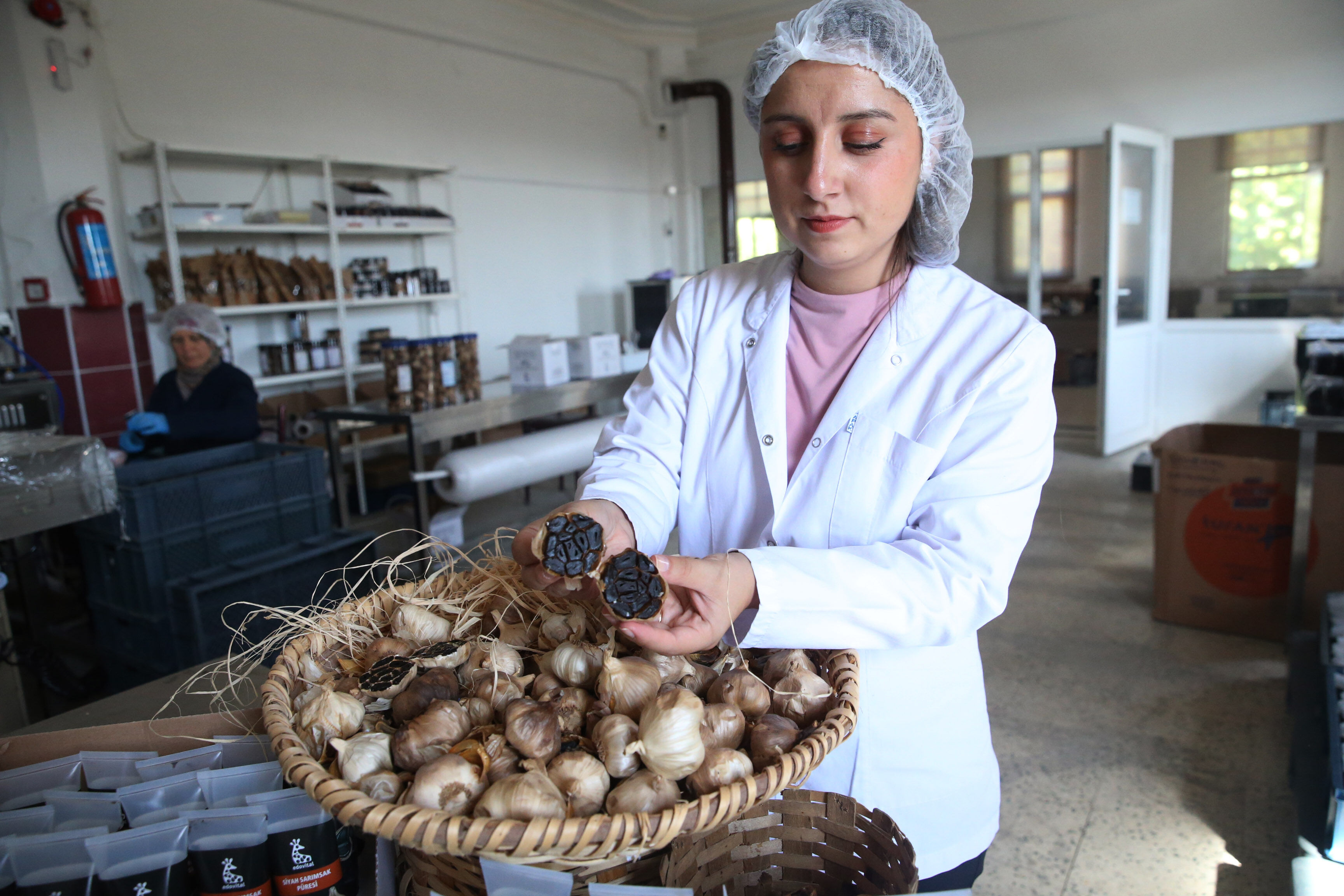 Siyah Sarımsak Taşköprü (9)