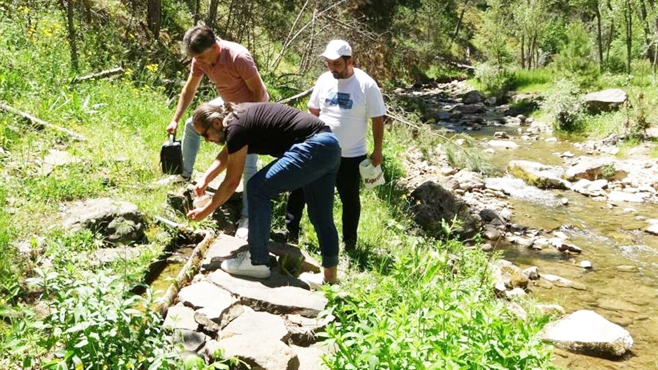 Tansiyon Ve Diyabet Hastaları Bu Sudan Şifa (3)