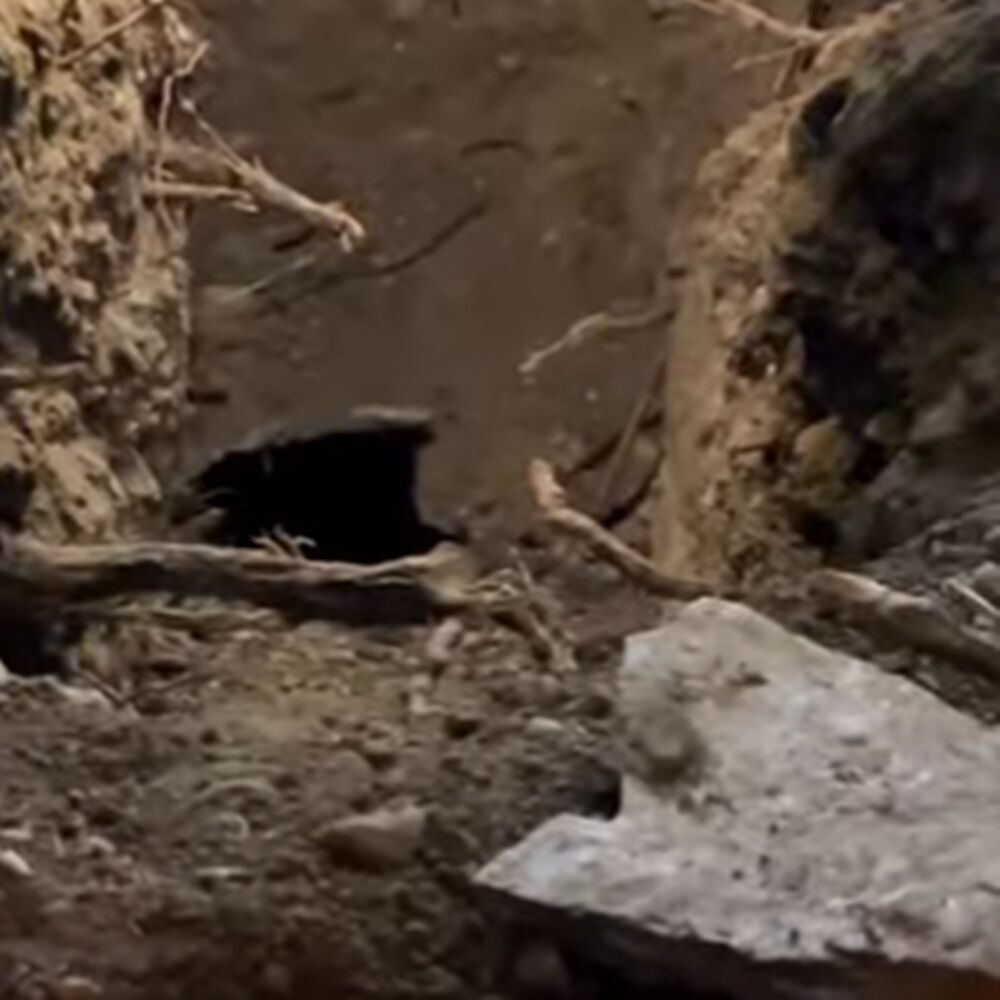 Taşköprü Mezan Bulundu (3)