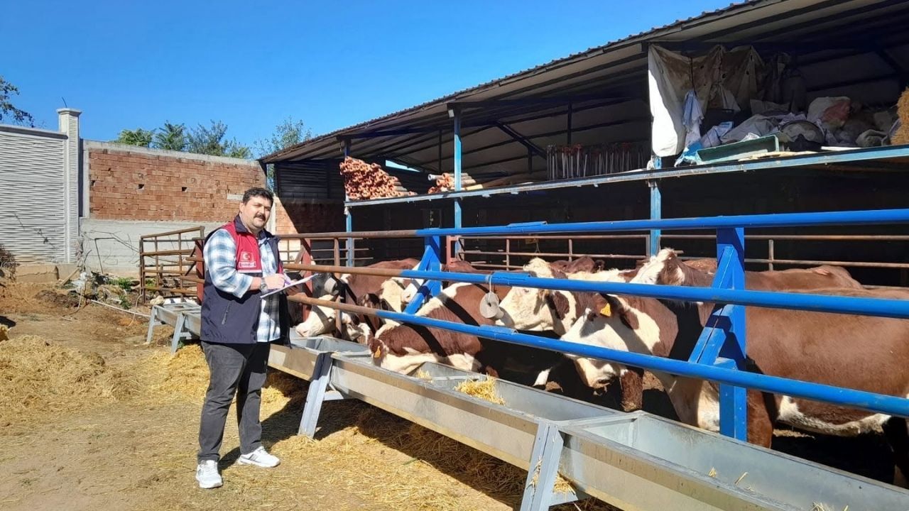 Taşköprü Yetiştirici Ziyareti (2)