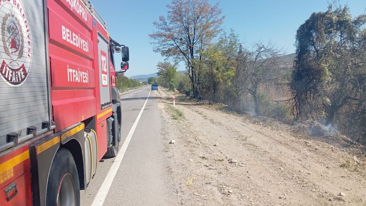 Taşköprü’de Alevler Iki Farklı Noktada Yükseldi (2)