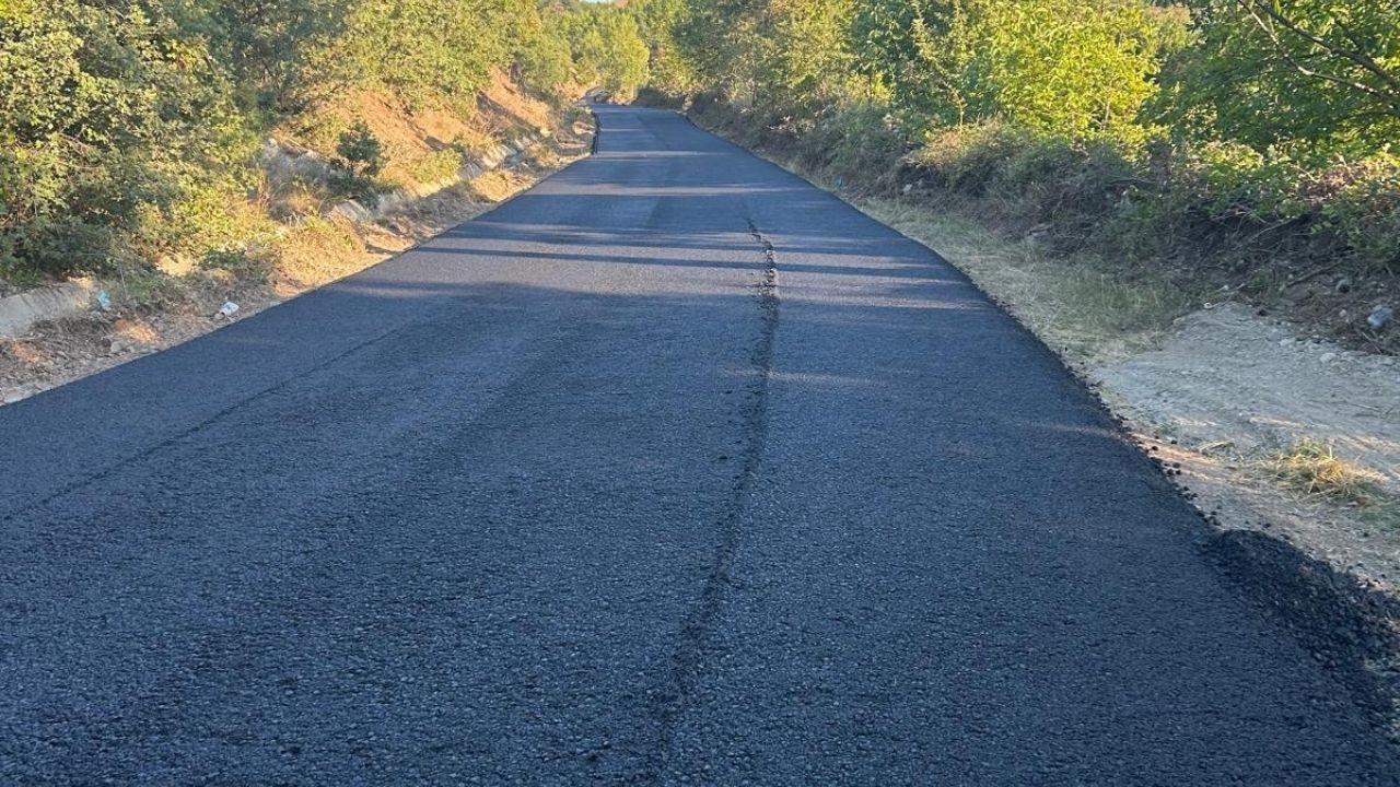 Tepedelik (1)