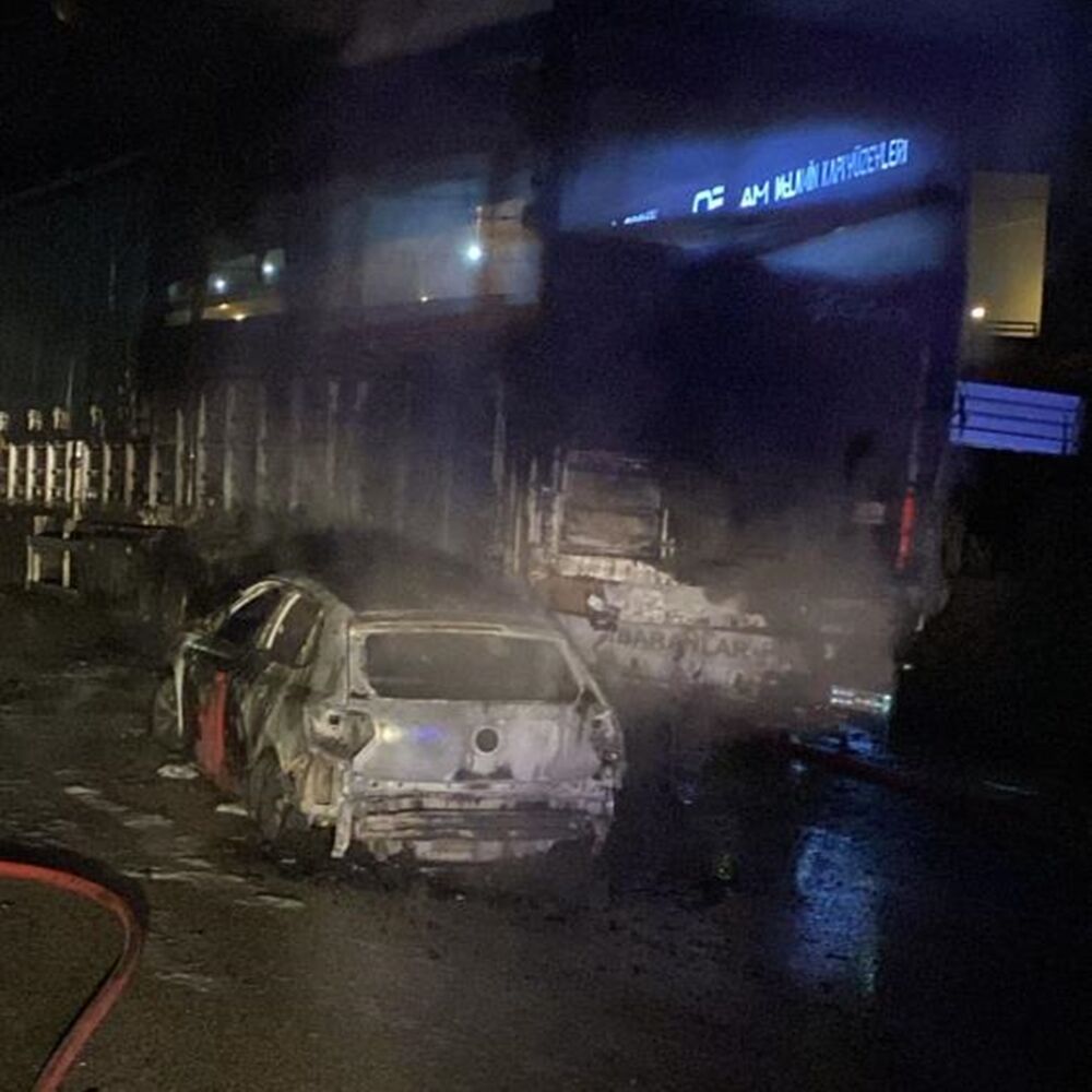 Tosya Alev Alev Yandı 3
