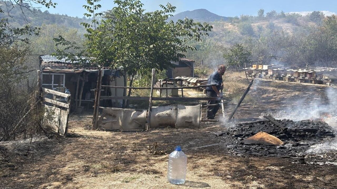 Tosya Bağevleri Yangın Alevler (5)