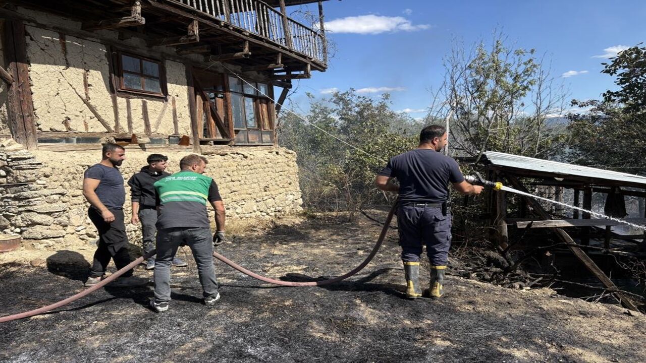 Tosya Bağevleri Yangın Alevler (6)