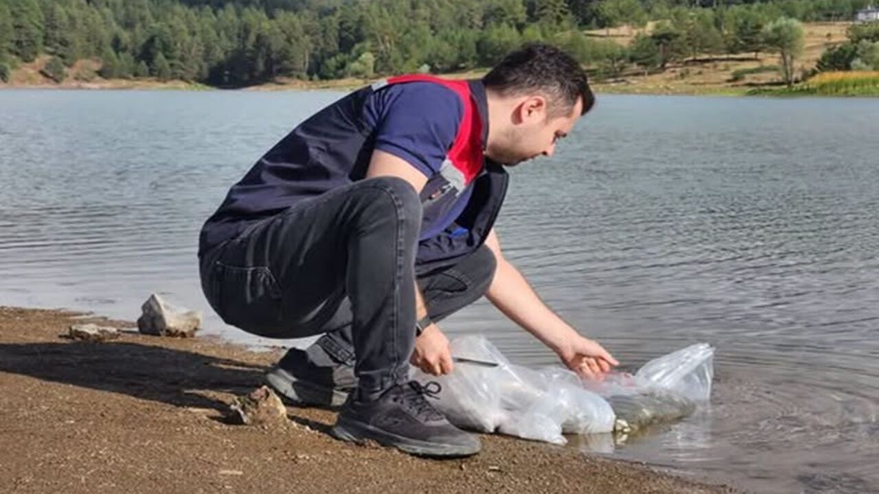 Tosya Balık Dere Gölet (2)
