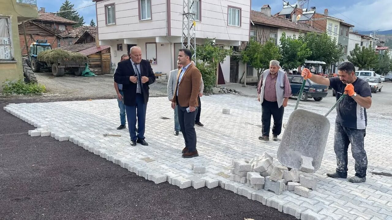 Tosya Kaymakamı Çalışmaları Inceledi (4)