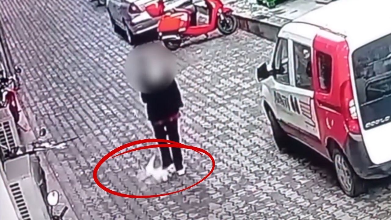 Tosya’da sıra dışı kaza: Üzerine dördüncü kattan kedi düştü