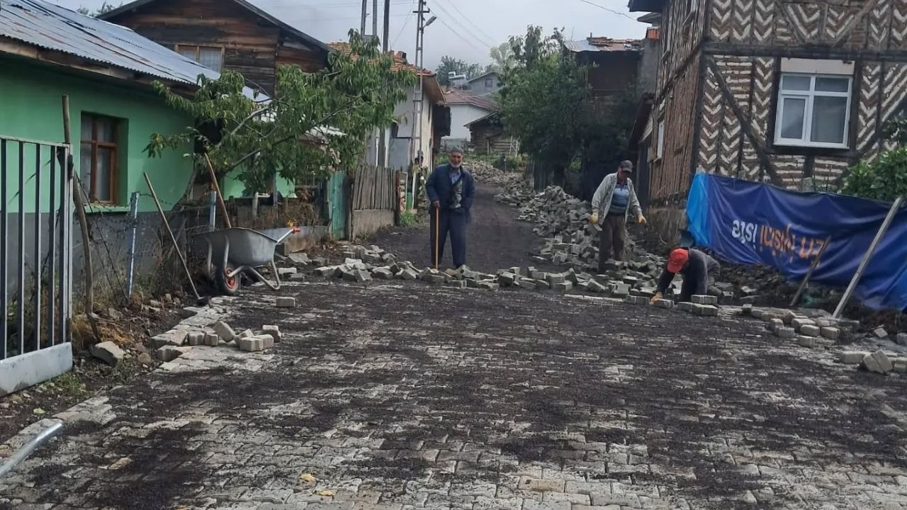 Tosya Köy Çalışma (1)
