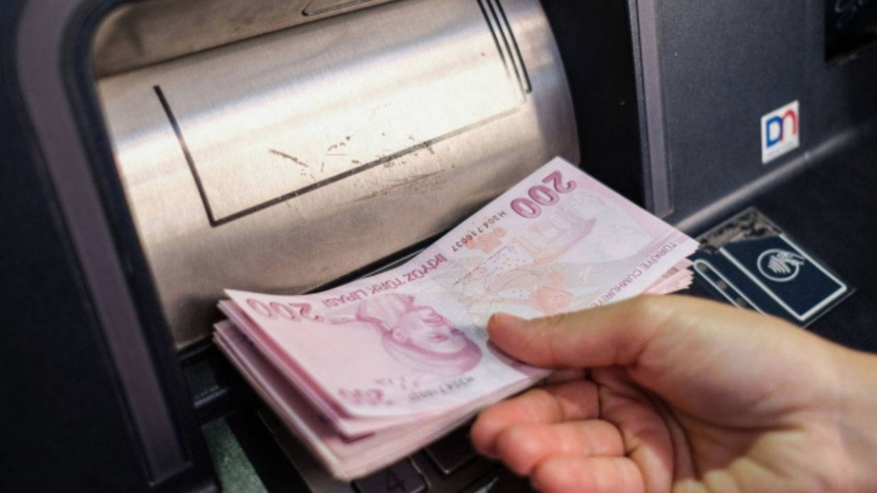 Vatandaşlık Maaşı (2)