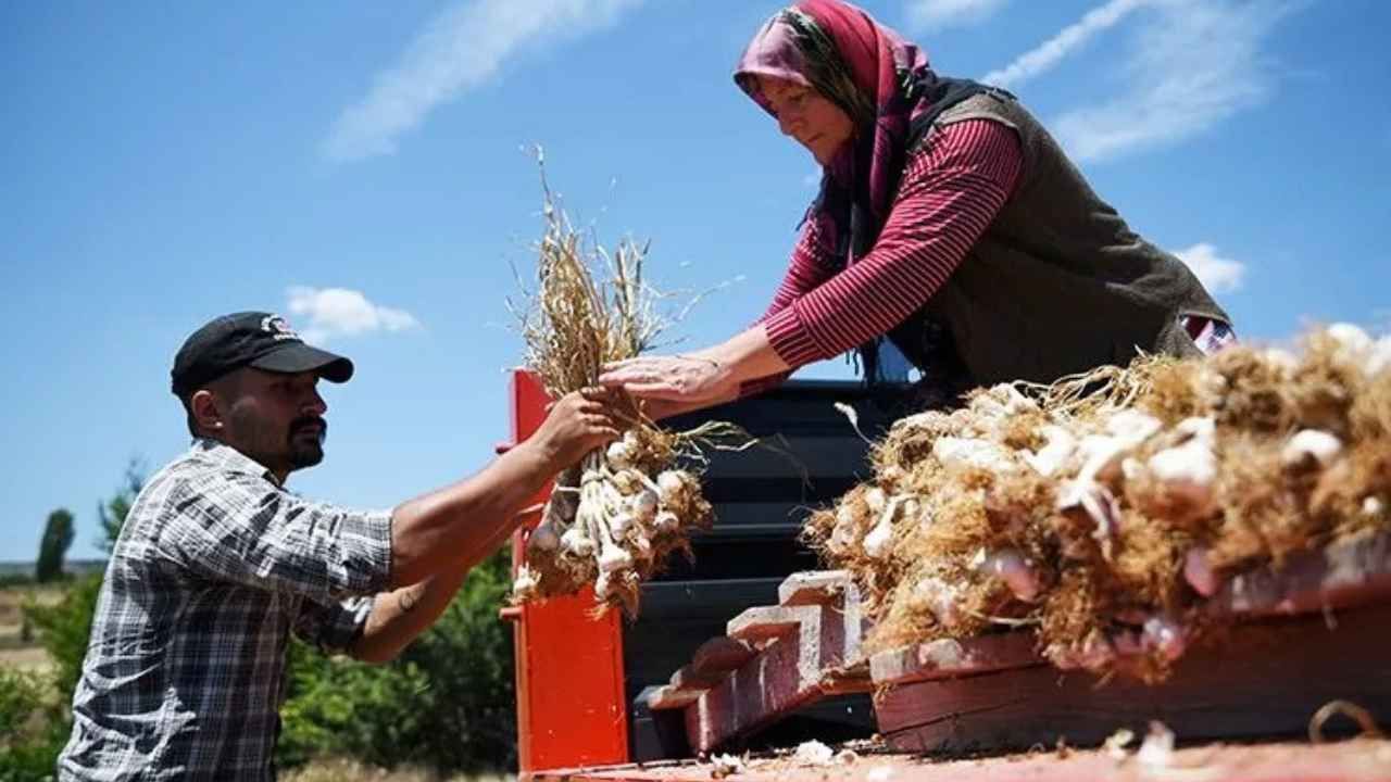 1280 720 Görsel Kopyası Kopyası Kopyası