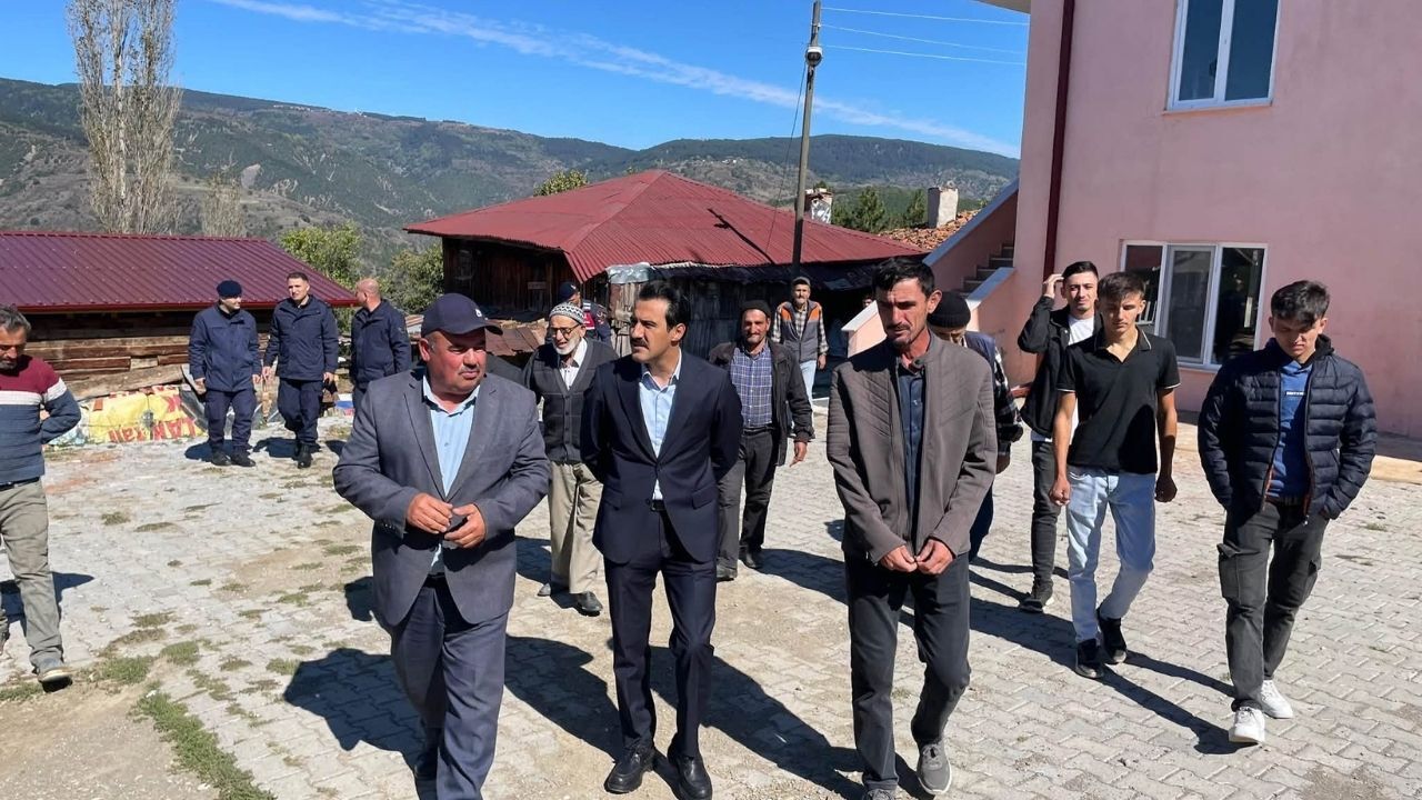Araç Kerime Tanyel (1)
